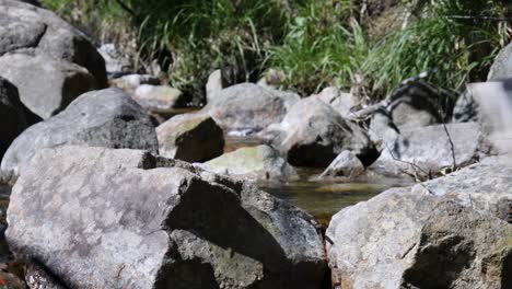 Hiker-carefully-stepping-on-rocks-to-cross-a-small-stream-in-the-mountains