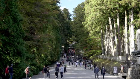 In-slow-motion,-people-traverse-the-path-leading-to-the-Nikko-Toshogu-complex-of-shrines-in-Japan