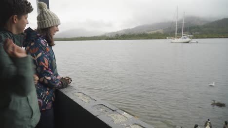 A-couple-feeding-ducks-by-the-bay-in-Franklin,-Huon-River,-Tasmania,-Australia,-static