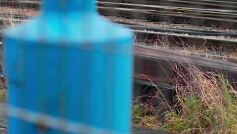 Close-Up-of-Rusty-Train-Tracks-and-Overgrown-Grass