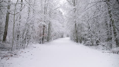 Wir-Fahren-Eine-Verschneite-Straße-Hinunter,-Schneeflocken-Fallen