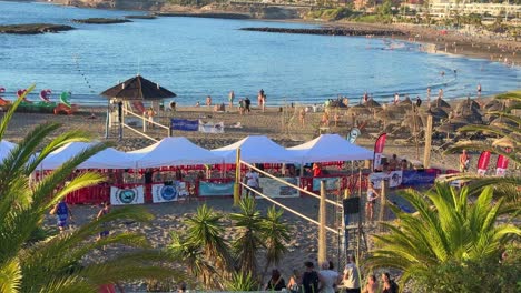 Sandy-beach-in-Tenerife-south,-palm-tree-Los-Cristianos-Canary-Islands-Spain