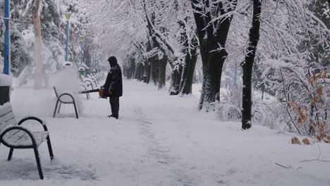 Hombre-Usando-Soplador-De-Hojas-Para-Quitar-La-Nieve-De-Los-Bancos-Del-Parque.