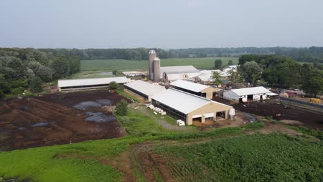 Farmstead-with-silos-and-livestock-in-iconic-American-landscape,-aerial-view