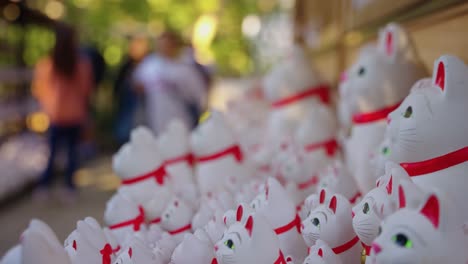 Slow-motion-Focus-rack-reveal-of-Lucky-Cat-Shrine-in-Tokyo-japan