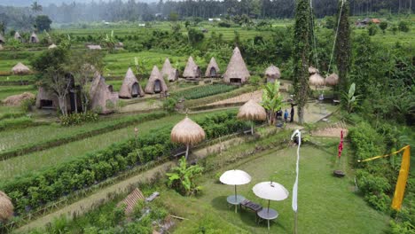 Cabañas-Con-Techo-De-Paja-En-Un-Campamento-De-Glamping-En-Medio-De-Campos-Verdes-En-El-Alojamiento-Turístico-Del-Valle-De-Maha-Gangga