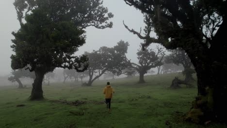 Hombre-Corriendo-Con-Chaqueta-Amarilla-En-El-Bosque-De-Fanal,-Madeira,-Mientras-Un-Dron-Lo-Sigue-A-Través-De-La-Niebla-Entre-Laureles