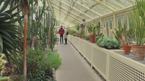 People-Inside-Glasshouse-With-Cacti-And-Succulents-Growing