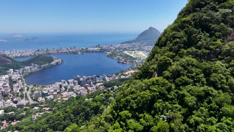 Bosque-De-Tijuca-Brasil