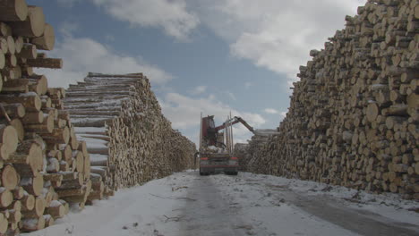 Greiferbagger-Bewegt-Holz-Im-Hof,-Weitwinkel