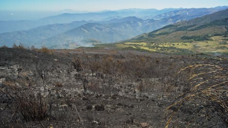 Wildfire-in-páramo-de-berlín-burned-areas