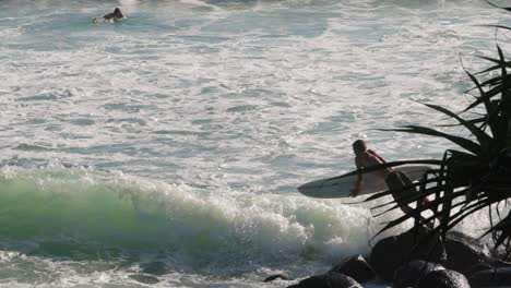 Surfer-entering-the-ocean-and-paddling-out-on-a-sunny-day,-Burleigh-Heads,-Gold-Coast,-Australia