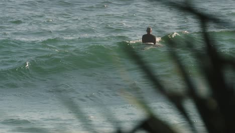 Surfista-Esperando-Olas-En-Un-Día-Soleado,-Burleigh-Heads,-Gold-Coast,-Australia