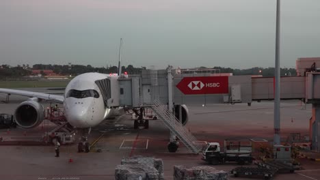 Changi-Airport,-Singapore