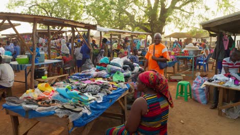 Establecimiento-De-Un-Mercado-Tradicional-Local-En-Un-Lugar-Remoto-De-África-Occidental.