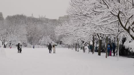 Menschen-Im-öffentlichen-Park-An-Einem-Verschneiten-Tag