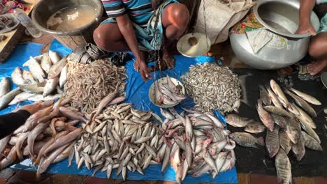 Vista-De-Cerca-De-Una-Pescadería-Vendiendo-Sus-Peces-En-Un-Puesto-Callejero-En-Kolkata,-India