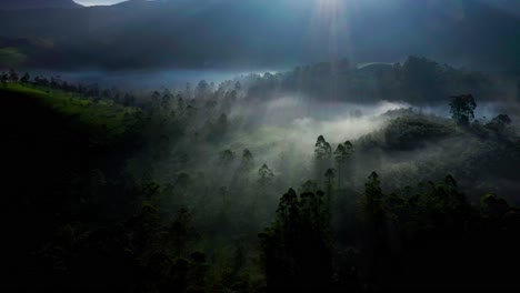 Vista-Aérea-De-Drones-Que-Va-Hacia-El-Lado-Donde-Se-Ven-árboles-Grandes-Y-Pequeños-Y-Los-Rayos-Del-Sol-Brillan-En-Las-Colinas