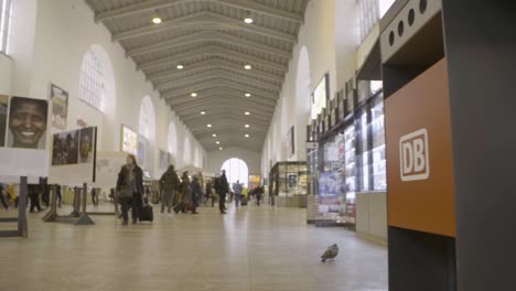 Toma-Interior-De-Una-Concurrida-Estación-De-Tren-Con-Techos-Altos,-Gente-Caminando-Y-Una-Paloma-En-El-Suelo.