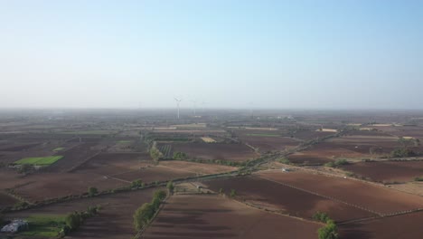 Luftdrohnenansicht-Im-Feld,-Die-Viele-Felder-Zeigt,-In-Denen-Viele-Büsche-Sichtbar-Sind