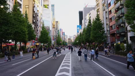 Toma-Panorámica-En-Cámara-Lenta-De-La-Calle-Japonesa-Estableciendo-Akihabara-Al-Final-De-La-Tarde