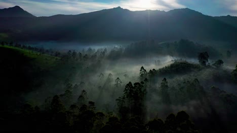 Aerial-drone-view-is-moving-towards-the-side-where-big-coconut-trees-and-big-mountains-are-visible-in-the-distance