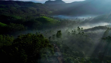 Aerial-drone-view-is-moving-towards-the-side-where-many-big-coconut-trees-and-big-mountains-are-visible-in-the-distance