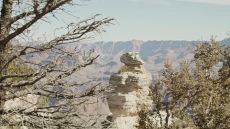 Personas-Tomando-Fotos-En-El-Borde-Sur-Del-Parque-Nacional-Del-Gran-Cañón-En-Arizona-Con-Video-Panorámico-Hacia-El-Cañón