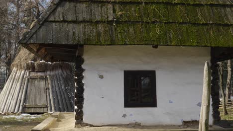 Casa-Antigua-Con-Musgo-De-árbol-En-El-Techo.