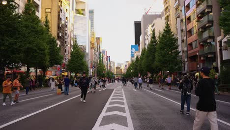 Inclinación-En-Cámara-Lenta,-La-Gente-Camina-Por-Las-Calles-De-Akihabara-Al-Final-De-La-Tarde