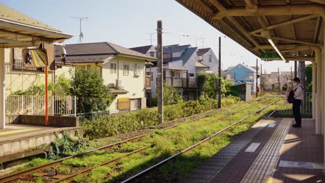 Slow-motion-establishing-shot-of-peaceful-neighborhood