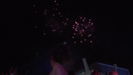 La-Gente-Disfruta-De-Los-Fuegos-Artificiales-Que-Explotan-En-El-Cielo-En-Un-Evento-De-Negocios.