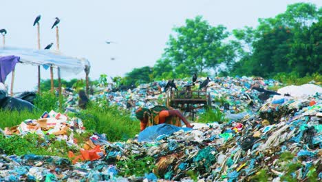 Südasiatische-Frau,-Die-Auf-Einer-Giftdeponie-Mit-Plastikmüll-Arbeitet