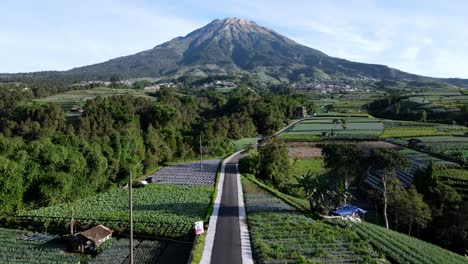 Vista-Aérea-De-La-Carretera-Que-Sube-Directamente-A-La-Montaña-Y-Se-Encuentra-En-Medio-Del-Campo-Agrícola