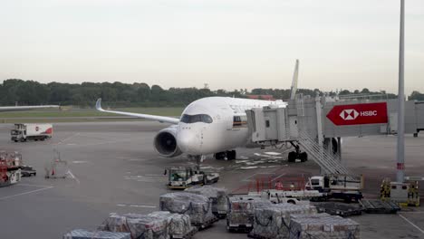 Los-Encargados-De-Equipaje-Organizan-La-Carga-Para-Los-Aviones-Que-Esperan-En-El-Aeropuerto-De-Changi.