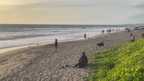 Handaufnahme-An-Einem-Sandstrand,-Menschen,-Die-Den-Sonnenuntergang-Genießen,-Herumlaufende-Hunde