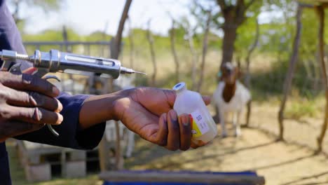 Veterinario-Llenando-Una-Jeringa-Con-Medicamento-Para-Cabras