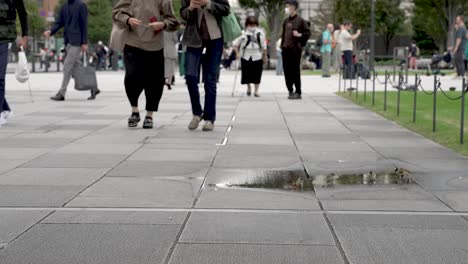 Japanese-Locals-Walking-Past-Group-Of-Tiny-sparrow-birds-sipping-water-from-a-pool-on-the-concrete-surface-at-Marunouchi-Square,-adjacent-to-Tokyo-Station-in-Japan