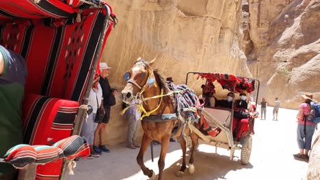 Los-Viajeros-Abren-Paso-Mientras-Dos-Caballos-Y-Carros-Que-Transportan-Turistas-Pasan-Por-Los-Estrechos-Pasajes-Entre-Las-Gargantas-De-Petra.