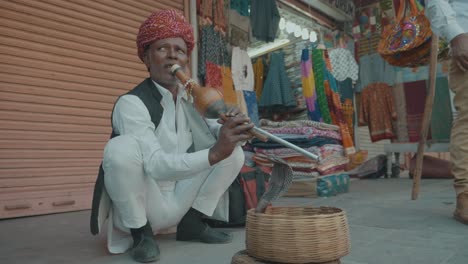 a-snake-charmer-in-india-charming-a-cobra