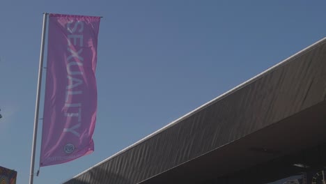 Bandera-Rosa-Ondeando-Con-La-Inscripción-&quot;sexualidad&quot;