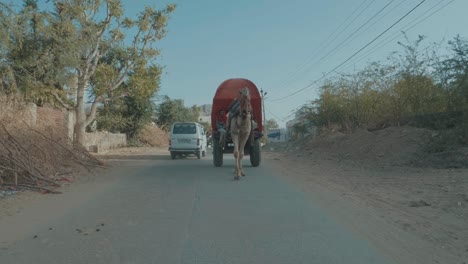 a-camel-carrying-a-coach-on-a-street-in-Rajasthan,-India