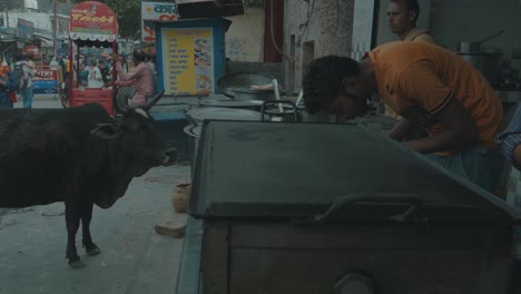 Gran-Vaca-Negra-En-Las-Calles-De-La-India-Parada-Afuera-De-Una-Tienda-En-El-Mercado-De-Alimentos-Buscando-Comida