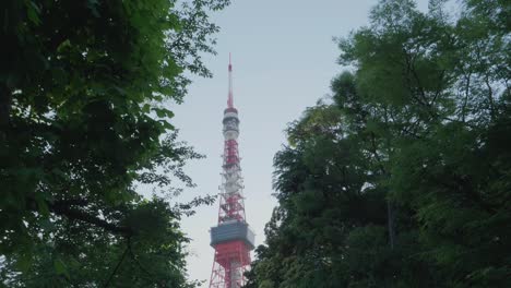 Beautiful-camera-slide-towards-tokyo-tower-in-tokyo,-japan-while-sunset
