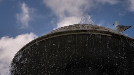 Detailed-view-of-a-fountain-and-seagull-in-front-of-St