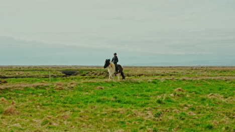 Islandreiten-Im-Freien