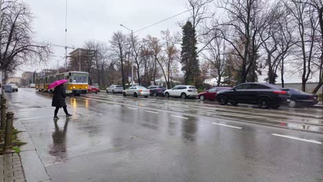 Menschen-Warten-Im-Regen-Auf-Die-Straßenbahn