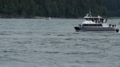 Whale-Watching-excursion-in-Juneau,-Alaska