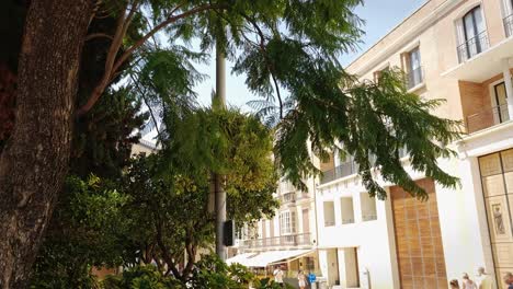 Glimpse-behind-the-trees-of-the-Museum-of-the-Cofradia-del-Santo-Sepulcro,-Malaga,-Spain