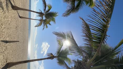 Hyatt-Ziva-In-Cabo-Mexico